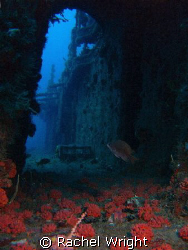 Captain Dan Wreck off Fort Lauderdale by Rachel Wright 